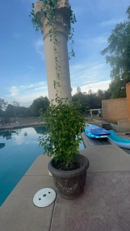 Apartamento The Oasis Redding Exterior foto
